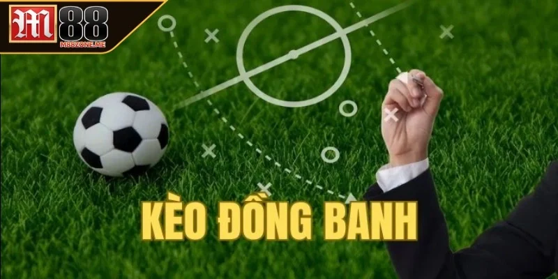 Hiểu rõ được loại hình giải trí giúp cho người chơi tăng phần thú vị